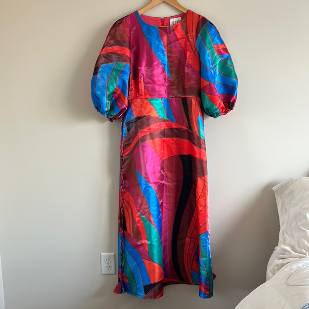 Alden Adair Clover Maxi Dress Prism Small - Picture 5 of 16